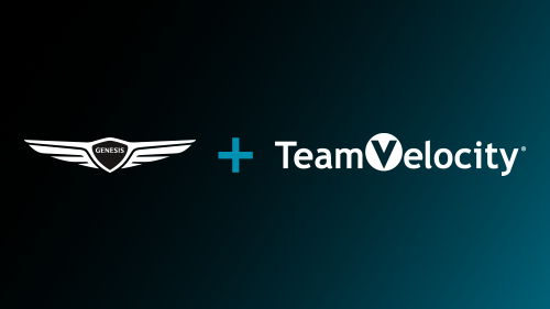 Team Velocity® Announced As Newest Genesis Certified Website Provider
