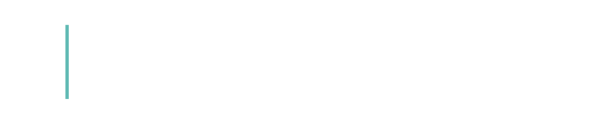 Team Velocity Platform Solution