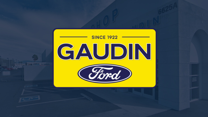 Gaudin Ford 2025 Case Study Website Thumbnail